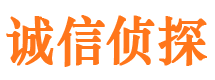 理塘诚信私家侦探公司